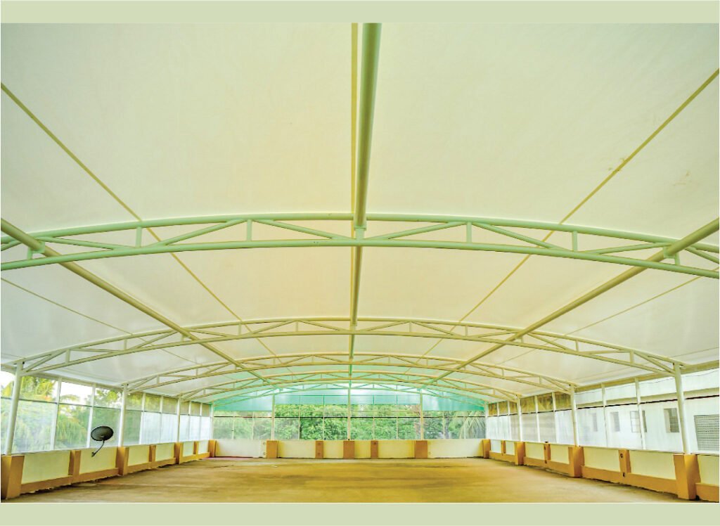 TERRACE TENSILE at Infinite structure